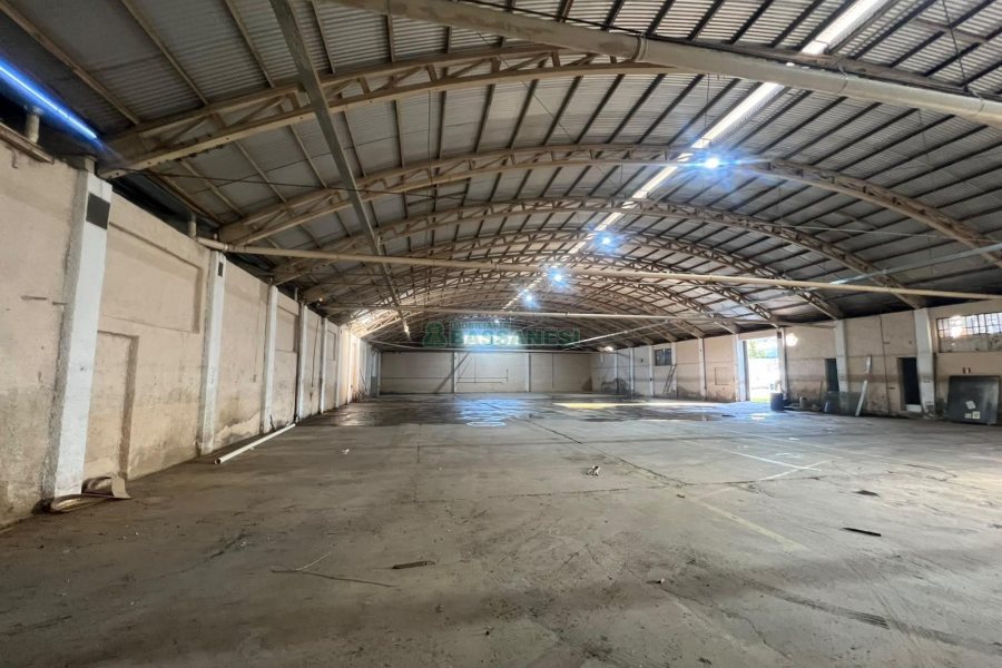Pavilhão com 2500m², no bairro Sao Gotardo em Flores da Cunha para Alugar