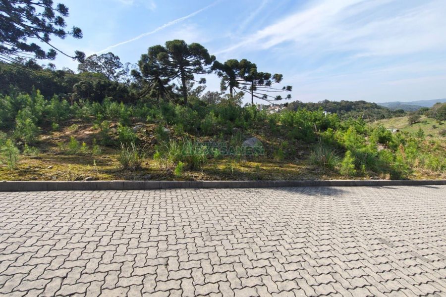 Terreno com 412m², no bairro Nossa Senhora da Conceição em Caxias do Sul para Comprar