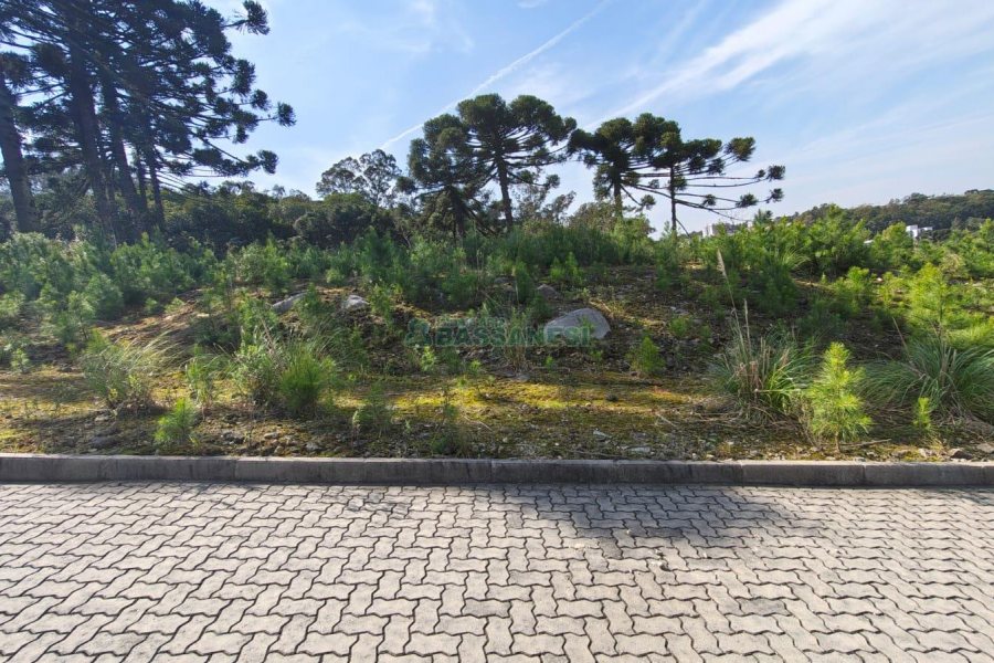 Terreno com 412m², no bairro Nossa Senhora da Conceição em Caxias do Sul para Comprar