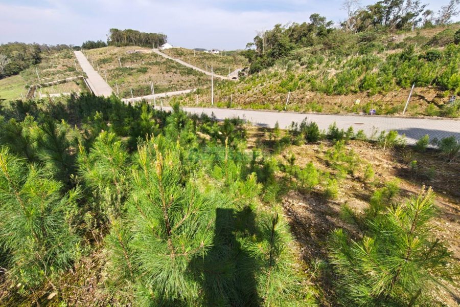 Terreno com 412m², no bairro Nossa Senhora da Conceição em Caxias do Sul para Comprar
