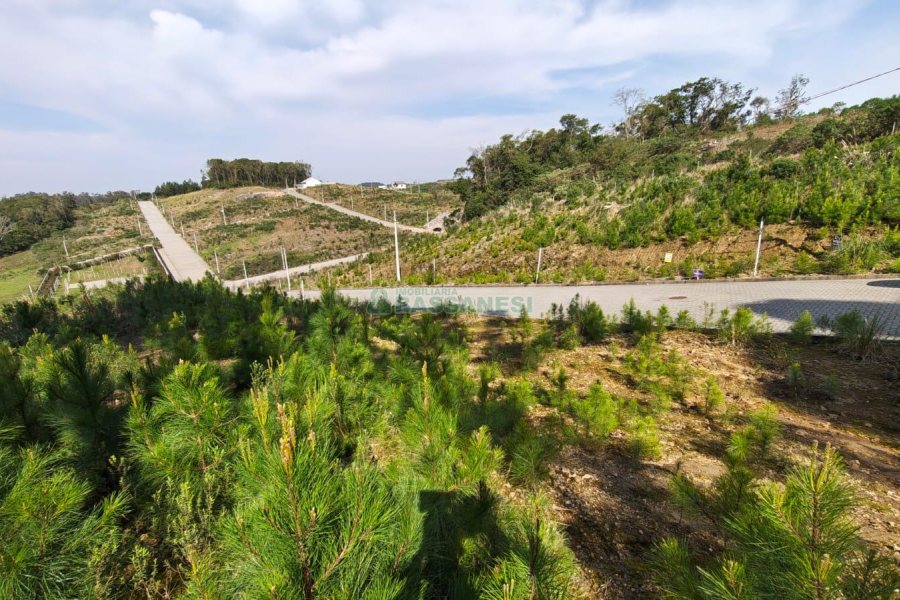 Terreno com 412m², no bairro Nossa Senhora da Conceição em Caxias do Sul para Comprar