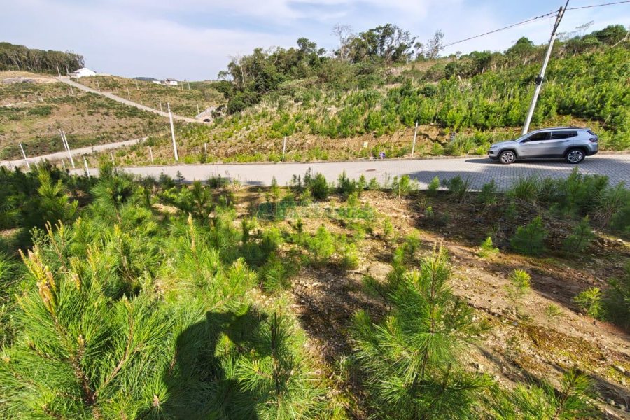 Terreno com 412m², no bairro Nossa Senhora da Conceição em Caxias do Sul para Comprar