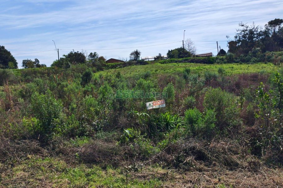Terreno com 409m², no bairro Monte Bérico em Caxias do Sul para Comprar