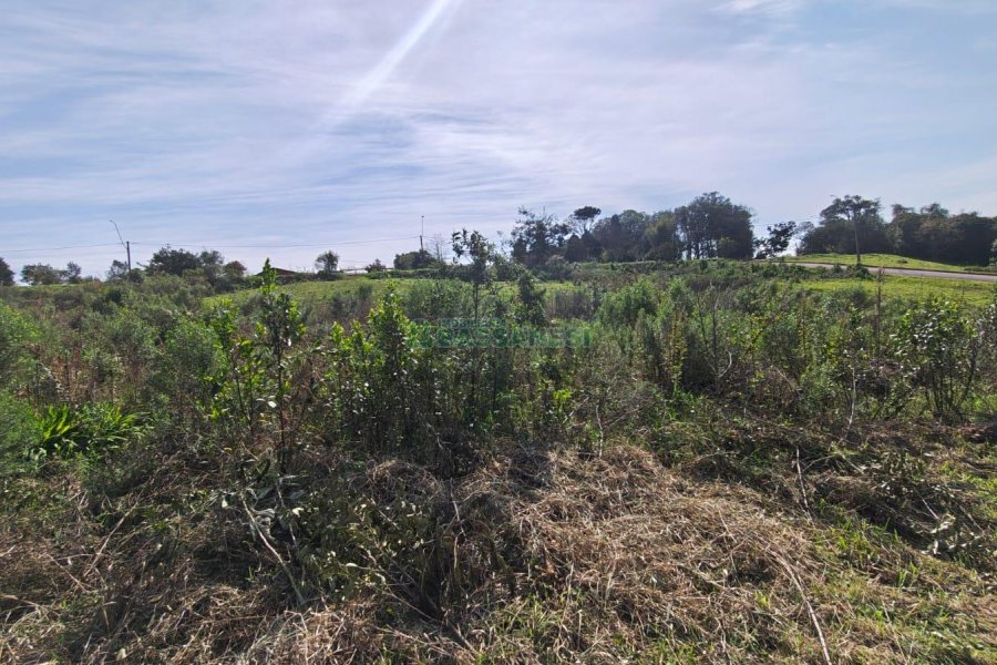 Terreno com 409m², no bairro Monte Bérico em Caxias do Sul para Comprar