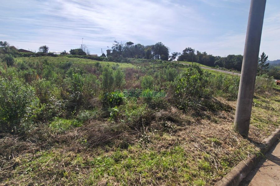 Terreno com 409m², no bairro Monte Bérico em Caxias do Sul para Comprar