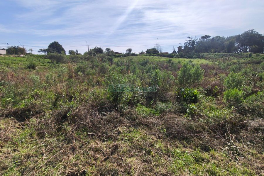 Terreno com 409m², no bairro Monte Bérico em Caxias do Sul para Comprar