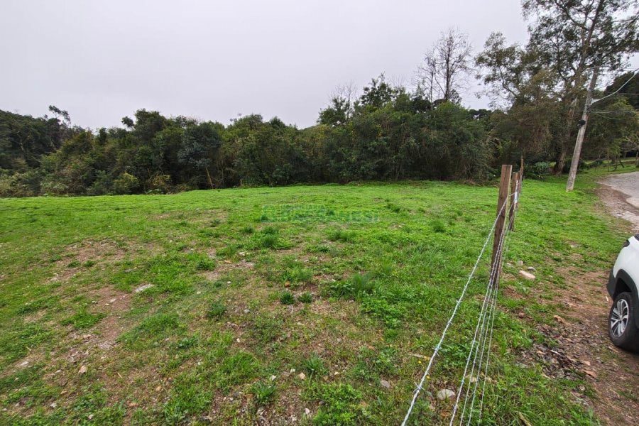 Terreno, no bairro Bela Vista em Caxias do Sul para Comprar