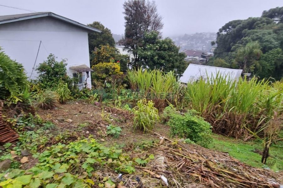 Casa com 100m², 3 dormitórios, 1 vaga, no bairro São Virgílio em Caxias do Sul para Alugar