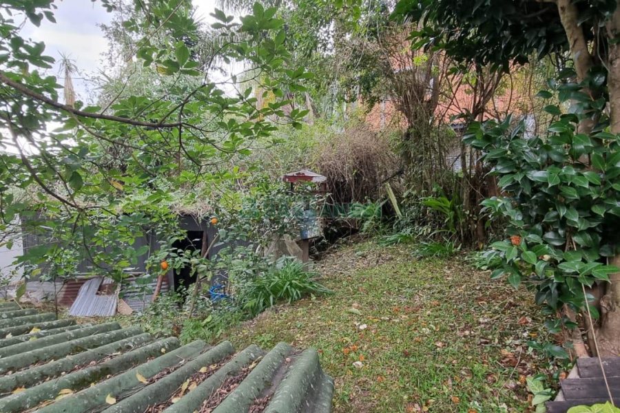 Casa com 100m², 3 dormitórios, 1 vaga, no bairro Panazzolo em Caxias do Sul para Comprar