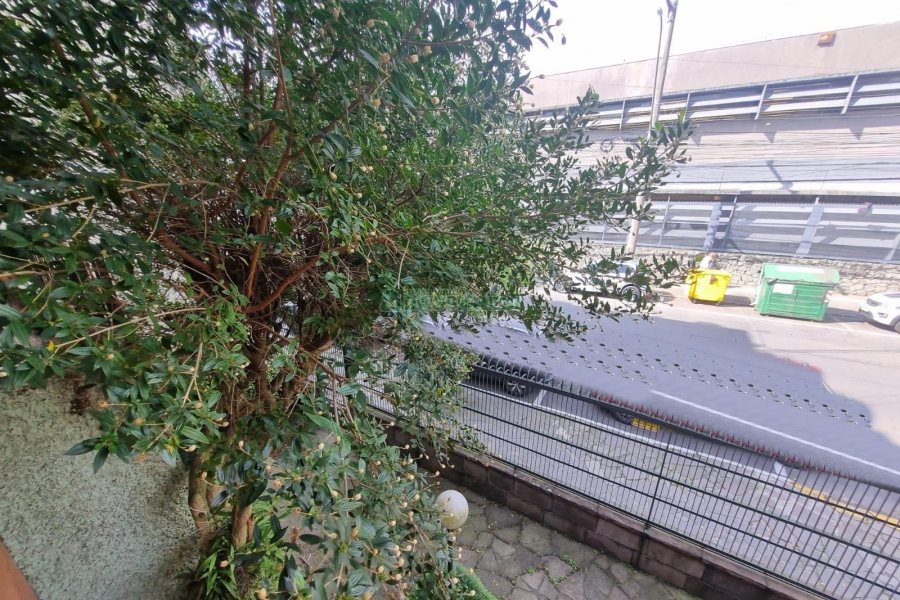 Casa com 311m², 3 dormitórios, 4 vagas, no bairro São Pelegrino em Caxias do Sul para Comprar