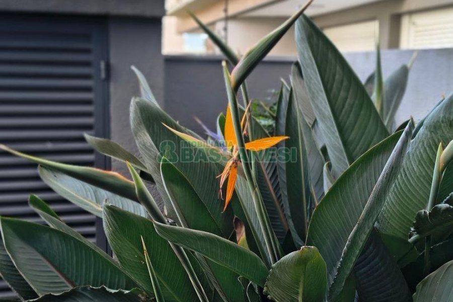 Apartamento com 96m², 2 dormitórios, 2 vagas, no bairro Panazzolo em Caxias do Sul para Comprar