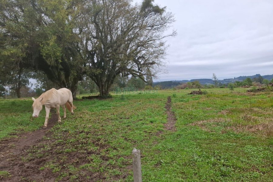 Chácara, no bairro Interior em São Marcos para Comprar