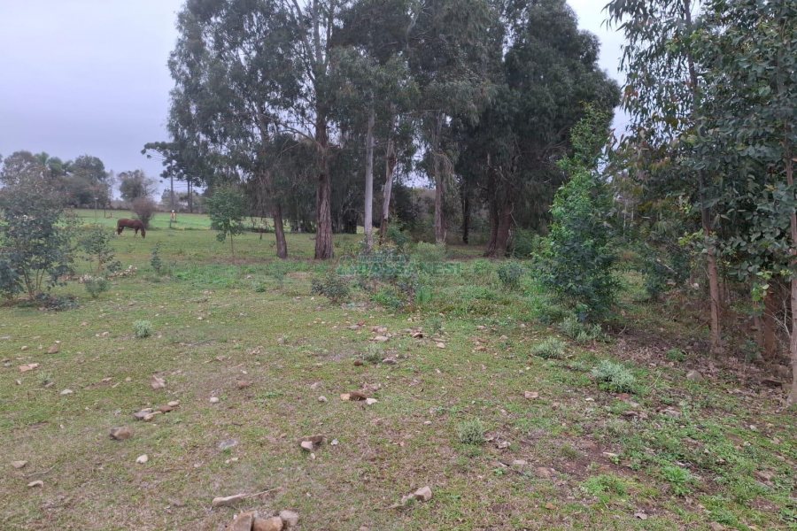 Chácara, no bairro Interior em São Marcos para Comprar