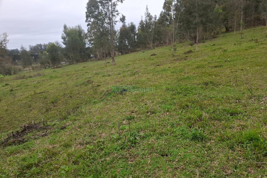 Chácara, no bairro Interior em São Marcos para Comprar