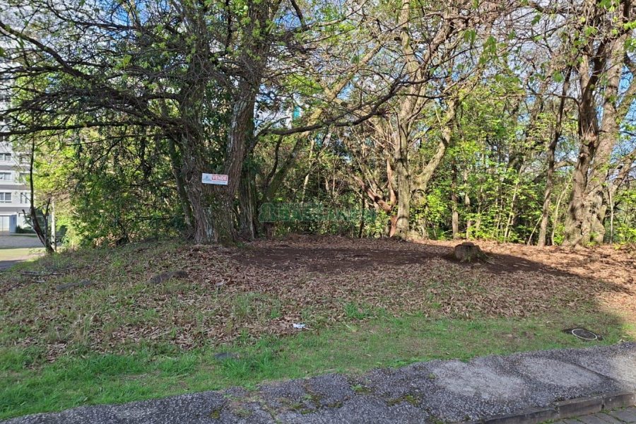 Terreno com 1080m², no bairro Vila Horn em Caxias do Sul para Comprar