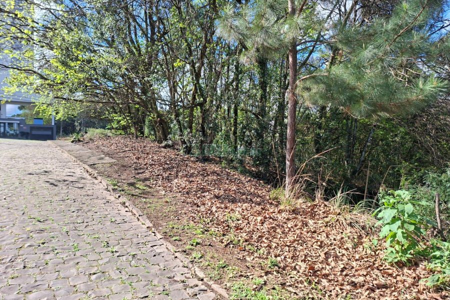 Terreno com 1080m², no bairro Vila Horn em Caxias do Sul para Comprar