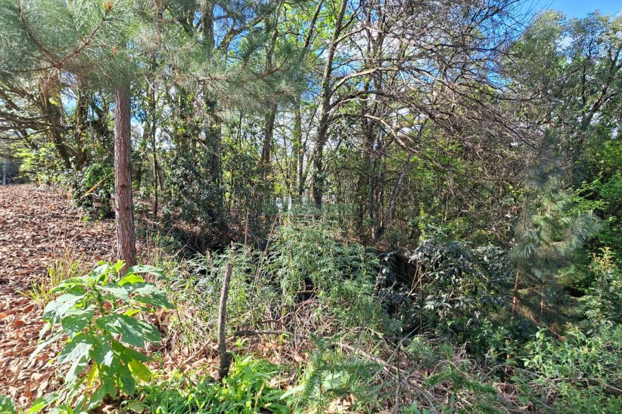 Terreno com 1080m², no bairro Vila Horn em Caxias do Sul para Comprar
