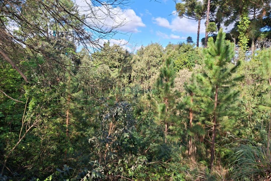 Terreno com 1080m², no bairro Vila Horn em Caxias do Sul para Comprar