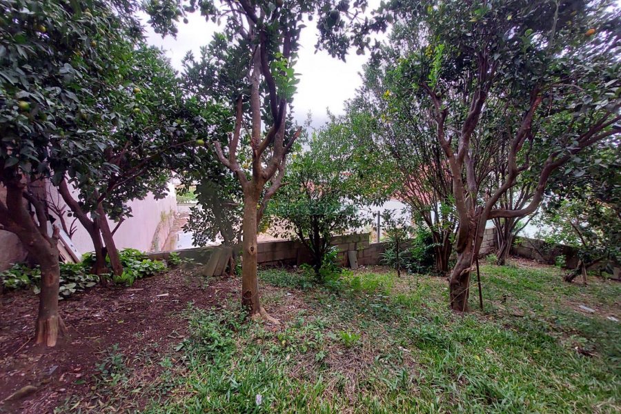 Casa com 229m², 3 dormitórios, 4 vagas, no bairro Santa Lúcia em Caxias do Sul para Comprar