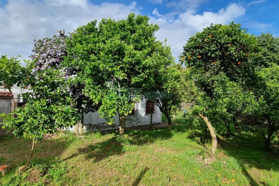 Terreno, no bairro Pioneiro em Caxias do Sul para Comprar