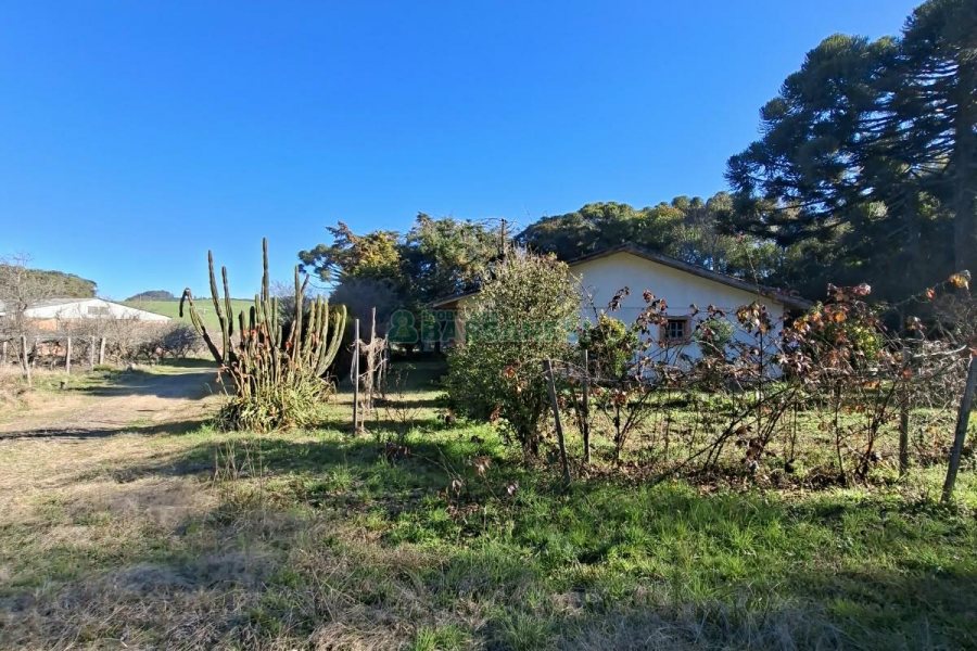 Chácara com 180m², 3 dormitórios, 1 vaga, no bairro Criúva em Caxias do Sul para Comprar