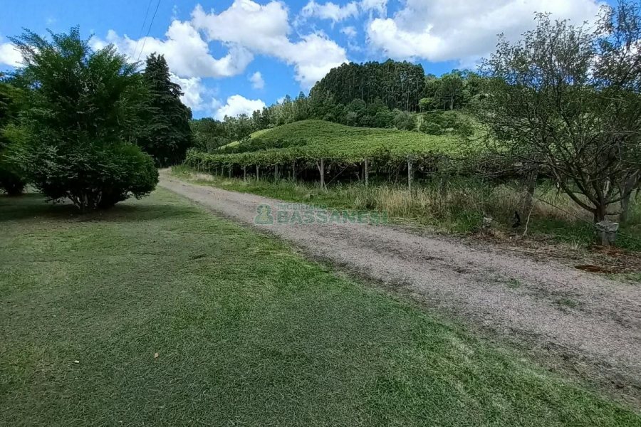 Chácara com 180m², 3 dormitórios, 1 vaga, no bairro Criúva em Caxias do Sul para Comprar