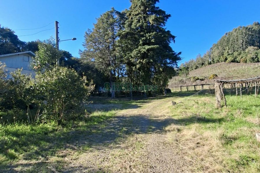 Chácara com 180m², 3 dormitórios, 1 vaga, no bairro Criúva em Caxias do Sul para Comprar