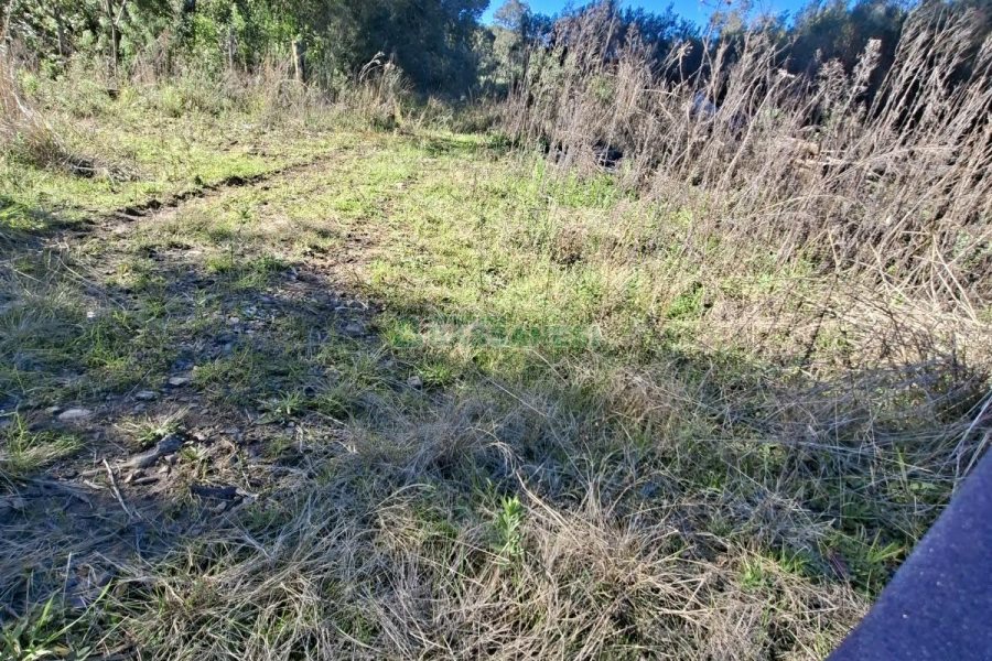 Chácara com 180m², 3 dormitórios, 1 vaga, no bairro Criúva em Caxias do Sul para Comprar