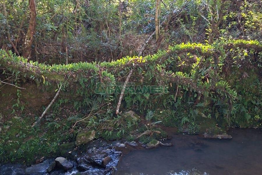 Chácara com 180m², 3 dormitórios, 1 vaga, no bairro Criúva em Caxias do Sul para Comprar