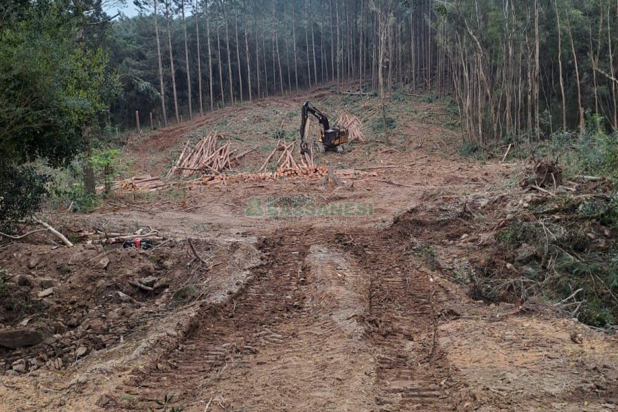Chácara com 180m², 3 dormitórios, 1 vaga, no bairro Criúva em Caxias do Sul para Comprar