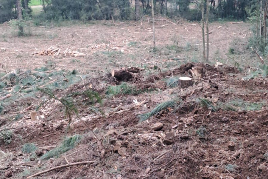Chácara com 180m², 3 dormitórios, 1 vaga, no bairro Criúva em Caxias do Sul para Comprar