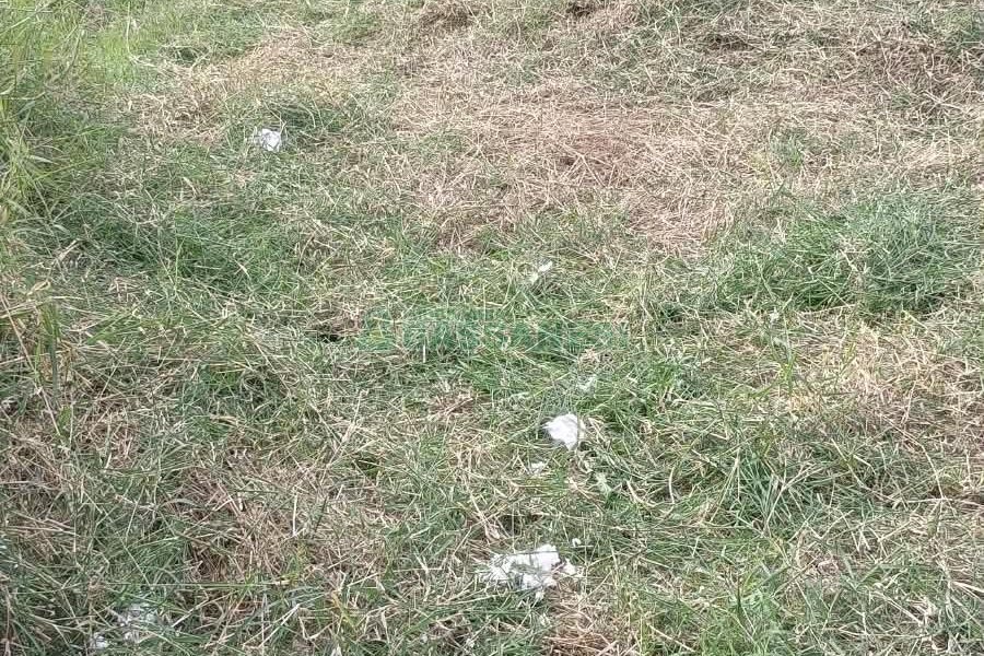 Terreno, no bairro Nossa Senhora das Graças em Caxias do Sul para Comprar