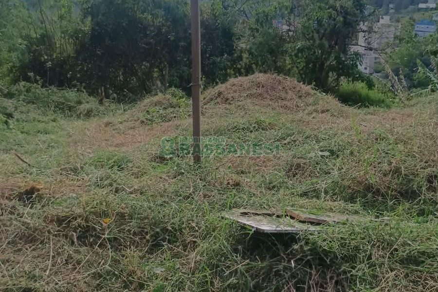 Terreno, no bairro Nossa Senhora das Graças em Caxias do Sul para Comprar