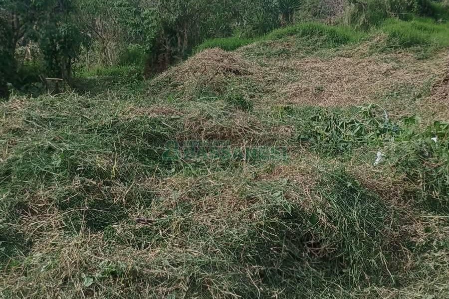 Terreno, no bairro Nossa Senhora das Graças em Caxias do Sul para Comprar