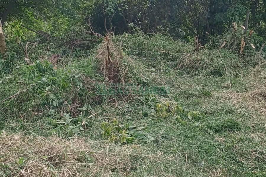 Terreno, no bairro Nossa Senhora das Graças em Caxias do Sul para Comprar