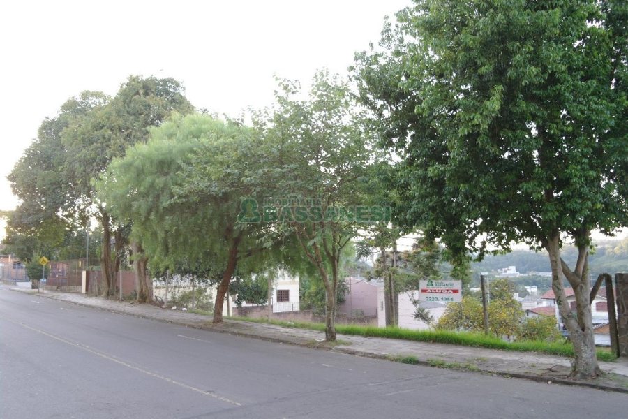 Terreno com 1560m², no bairro Cruzeiro em Caxias do Sul para Alugar